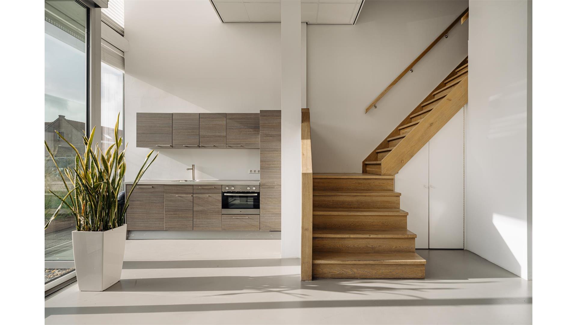 Ventu afbeelding 246551902.jpg